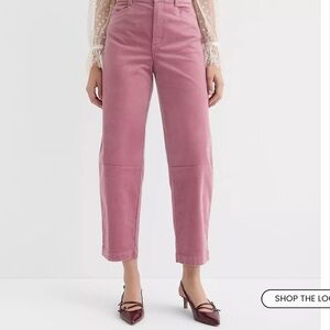 LOFT Barrel Pants in Stretch Velvet